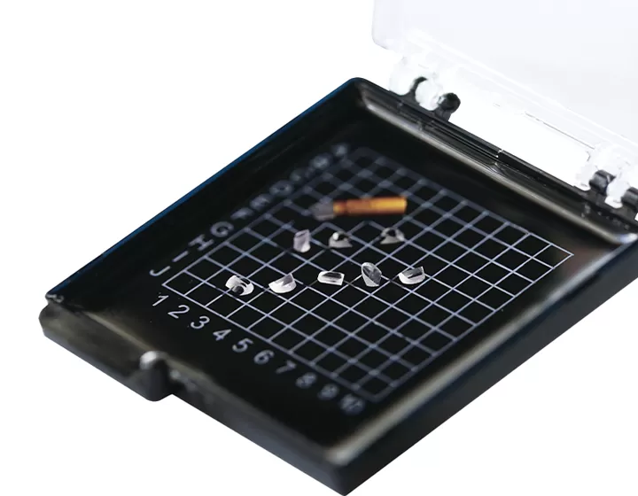 Medical Endoscope Objective